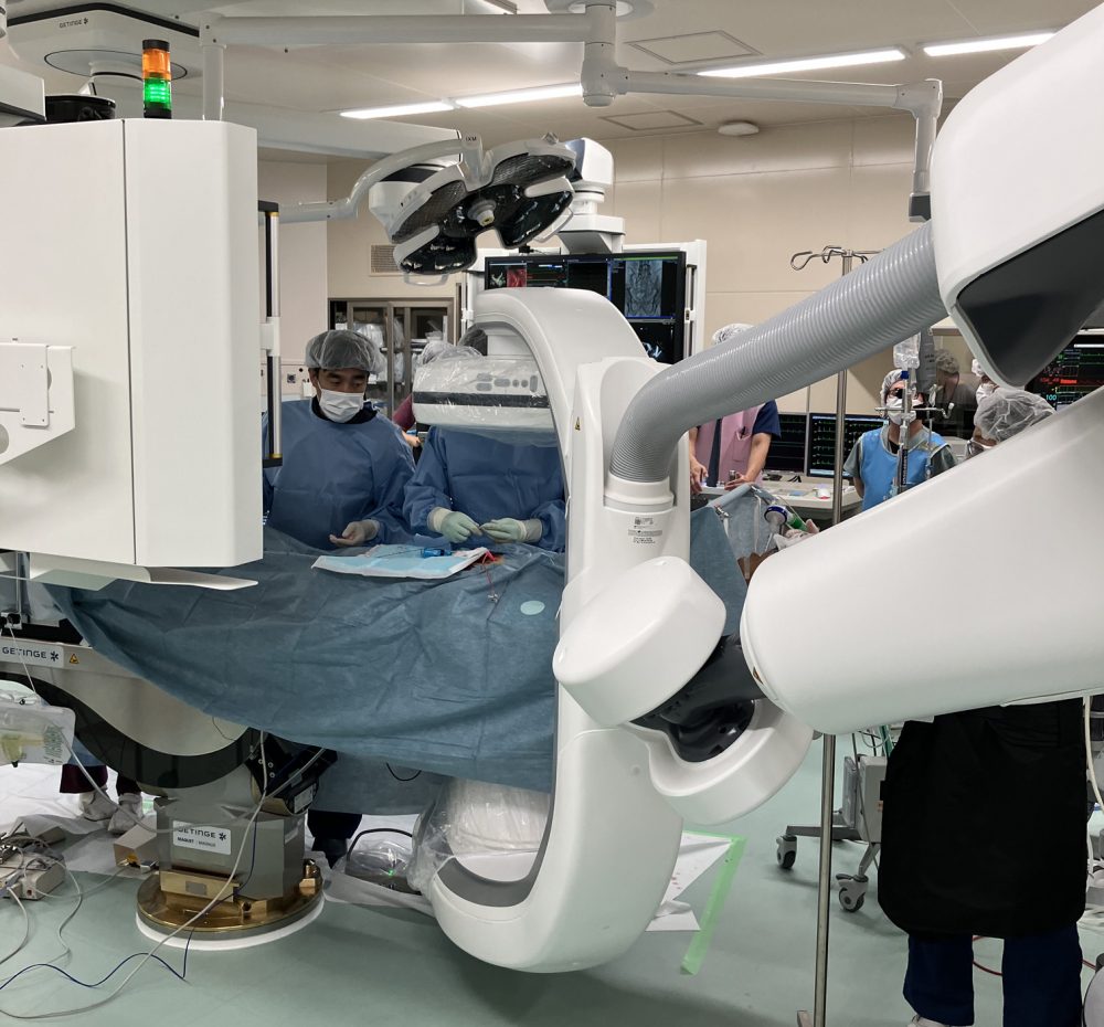 Heart View 2023年11月増刊号 特集：もう迷わない！ 循環器薬物処方 若手医師へ贈る熟練医の処方の考え方 池田 隆徳 Heart View 2023年11月増刊号 特集：もう迷わない！ 循環器薬物